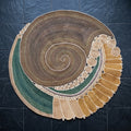Tapis Rond en Sisal "Nautilus" (200 cm) Maison Sisal