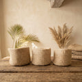 Trio de corbeilles en Sisal (18 à 25cm) Maison Sisal