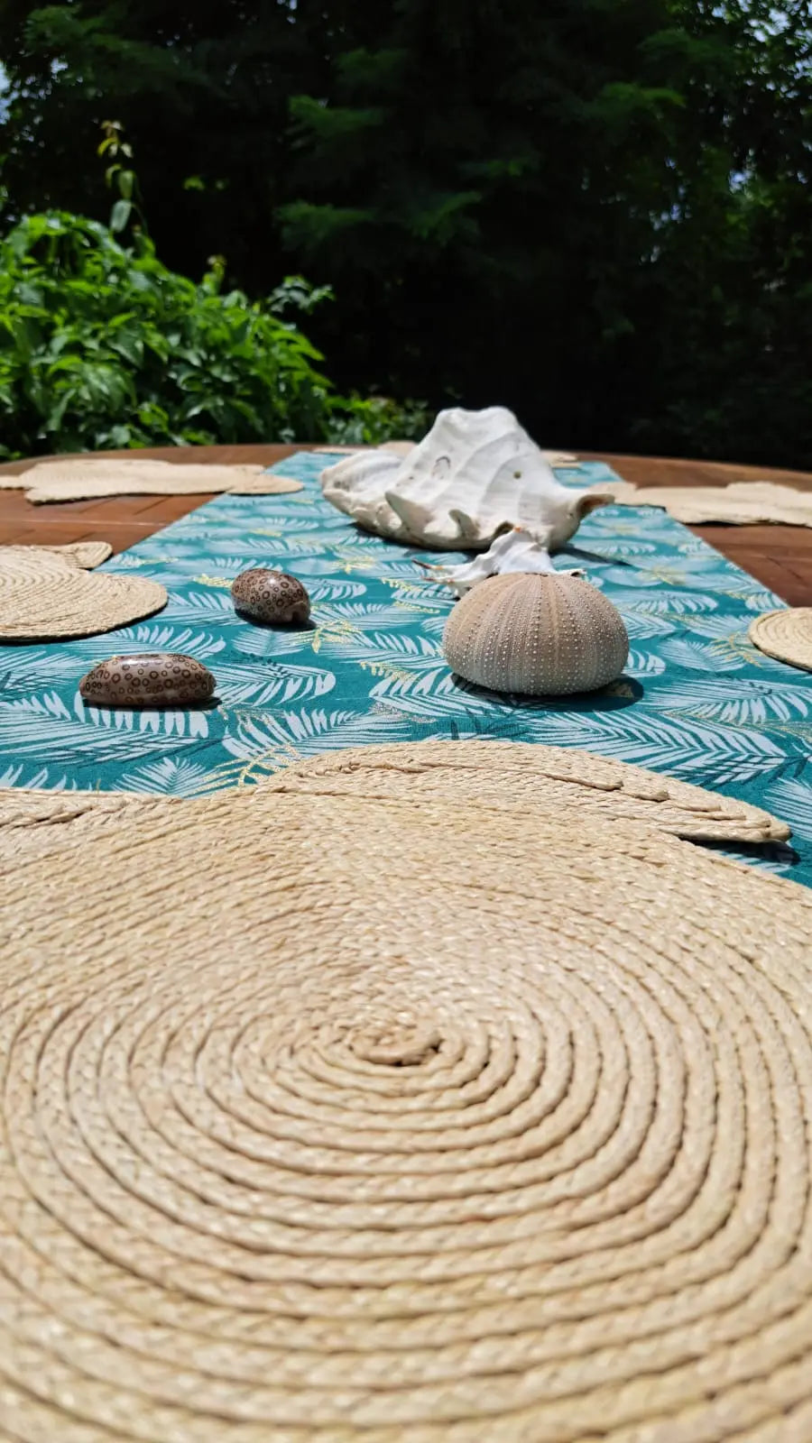 6 sets de table Raphia Tortue Maison Sisal